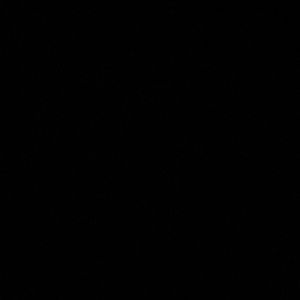 Meet your Posher, Katelyn